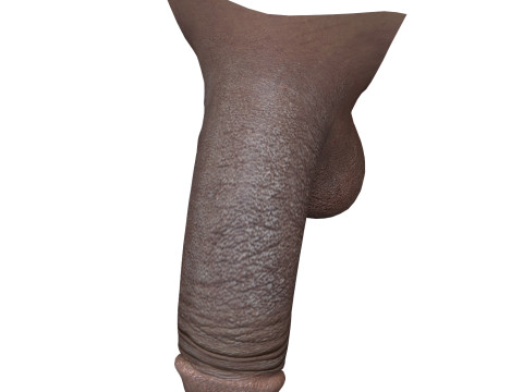 Realistic Black Male Penis Modèle 3D