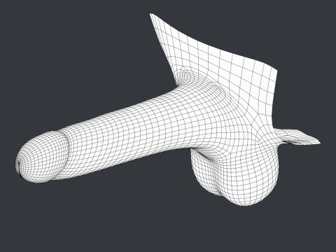 Young Man Erect Penis 3D Model
