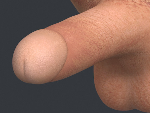 Young Man Erect Penis Modèle 3D