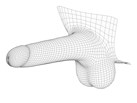 Black Man Erect Penis 3D-Modell