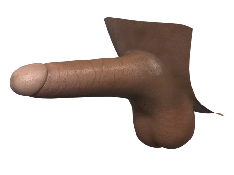 Black Man Erect Penis 3D Model
