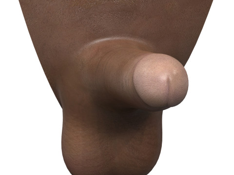 Black Man Erect Penis 3D Model