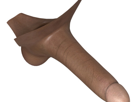 Black Man Erect Penis 3D Model
