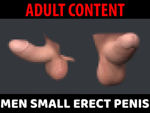 Men Small Erect Penis 3D Model