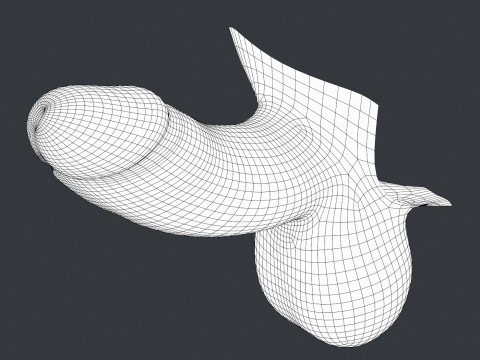 Men Small Erect Penis Model 3D