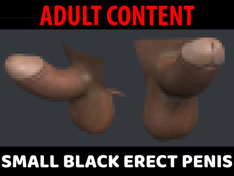 Small Black Erect Penis 3D Model