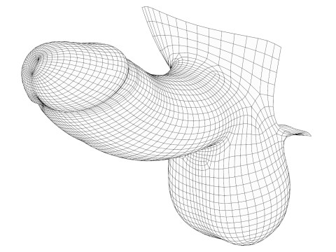 Small Black Erect Penis 3D Модель