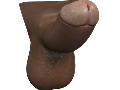 Small Black Erect Penis 3D मॉडल