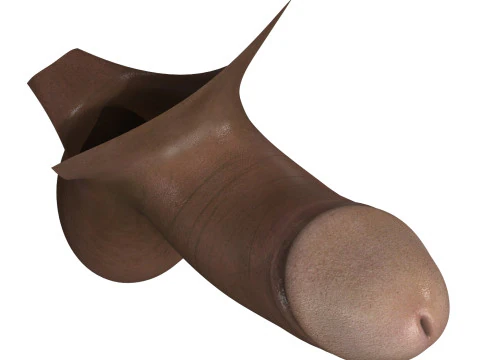 Small Black Erect Penis 3D Model