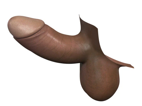 Small Black Erect Penis 3D Model
