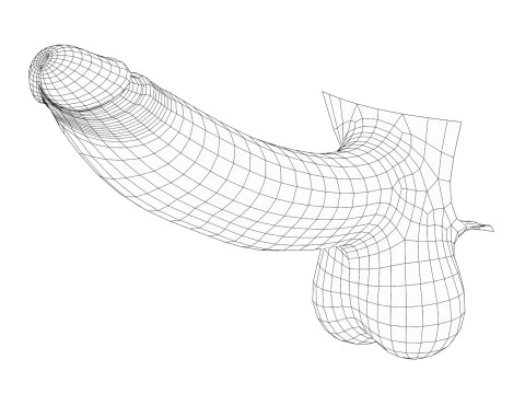 Realistic Monster Penis 3D Model