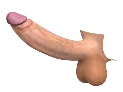 Realistic Monster Penis 3Dモデル
