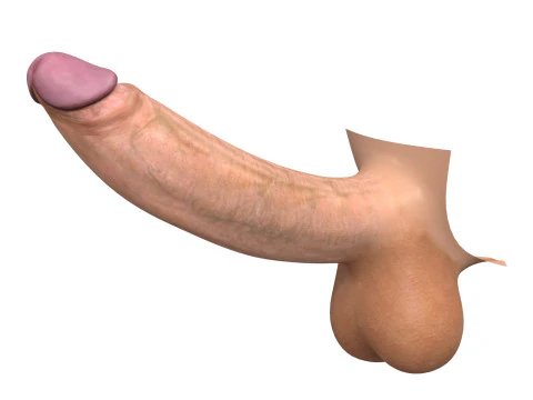 Realistic Monster Penis 3D Model