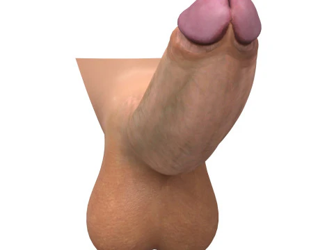 Realistic Monster Penis 3D Model