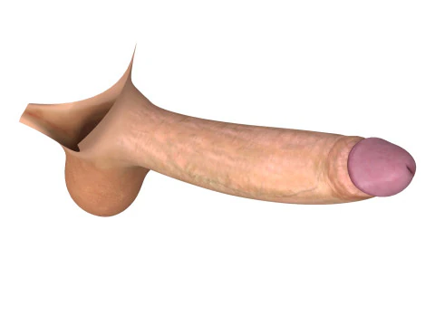 Realistic Monster Penis 3D Model