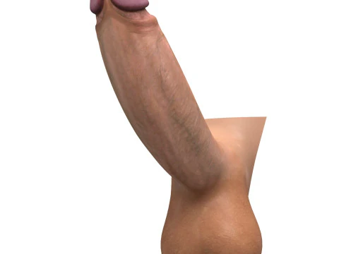 Realistic Monster Penis 3D Model