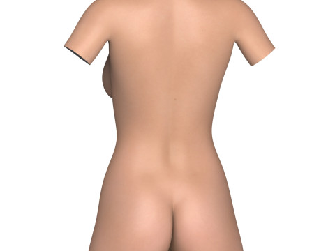 Adult Woman Torso with Vagina 3D Модель