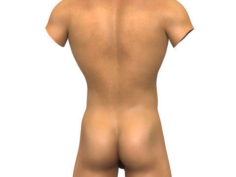 Realistic Adult Man Torso with Penis Model 3D