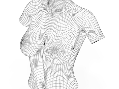 Realistic Woman Breast 3D Модель