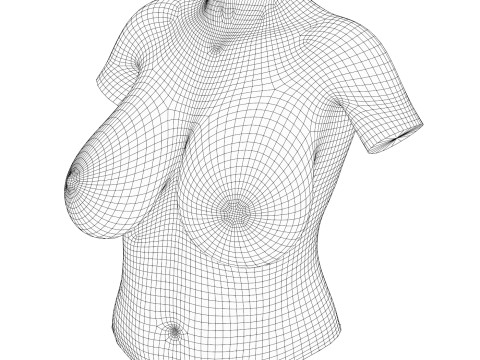 Realistic Women Big Breast 3D Модель