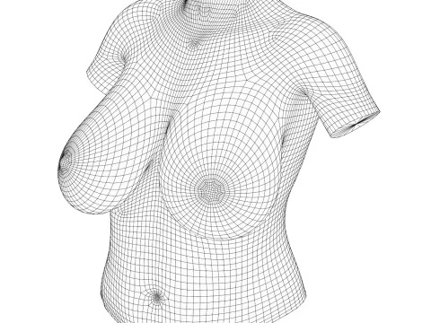 Realistic Women Big Breast 3D Model