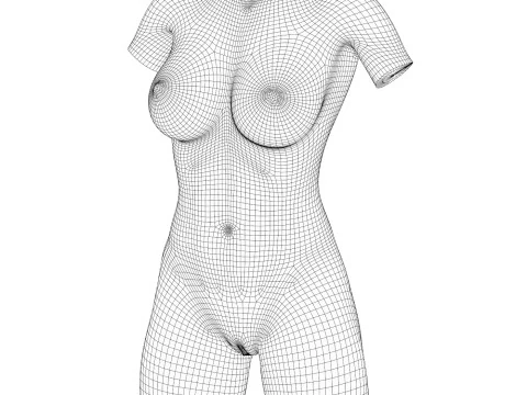 Realistic African Woman Torso With Vagina 3D Model