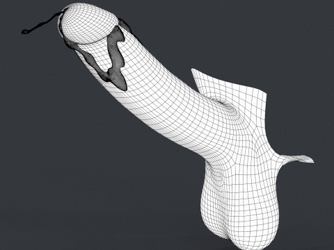 Realistic Adult Man Penis Modello 3D
