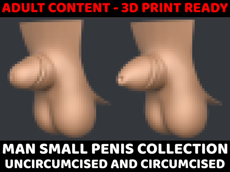 3D Print Ready Man Small Penis Collection Modello 3D .c4d .max .obj .3ds .fbx .stl .blend