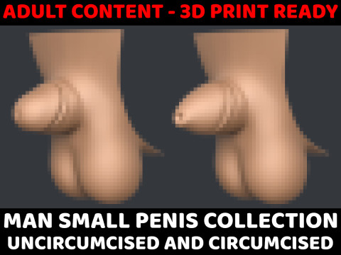 3D Print Ready Man Small Penis Collection 3D मॉडल