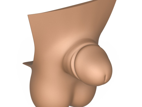 3D Print Ready Man Small Penis Collection Modello 3D