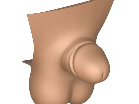 3D Print Ready Man Small Penis Collection 3D Model