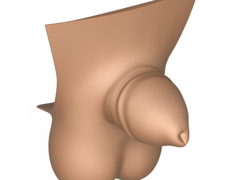 3D Print Ready Man Small Penis Collection Modello 3D