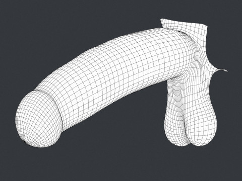 Adult Man Monster Penis Model 3D