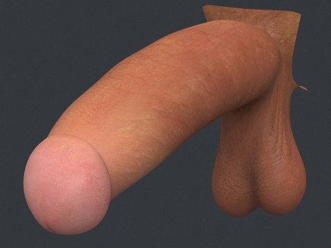 Adult Man Monster Penis 3D Model