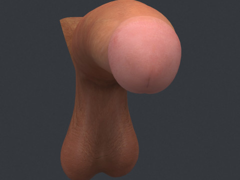Adult Man Monster Penis 3D Model