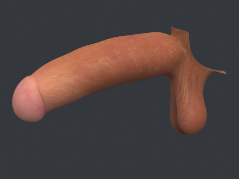 Adult Man Monster Penis 3D Model