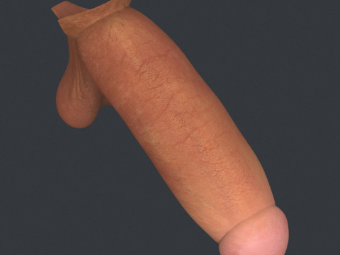 Adult Man Monster Penis 3D Model