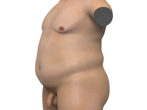 Realistic Adult Fat Man Torso With Penis 3D Model