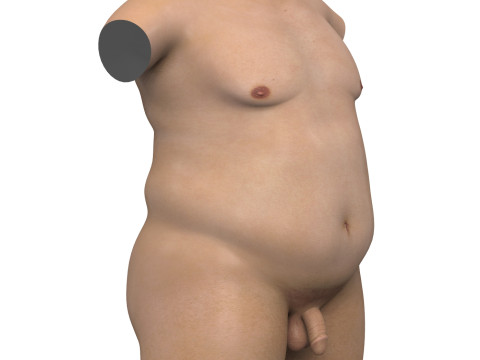Realistic Adult Fat Man Torso With Penis 3D Model