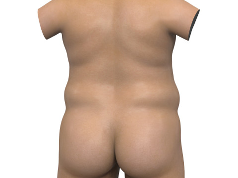 Realistic Adult Fat Man Torso With Penis 3D Model