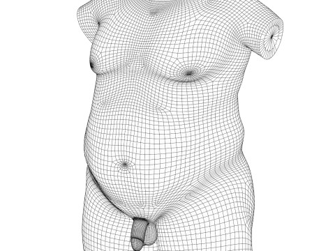 Realistic Adult Fat Man Torso With Penis 3D Model