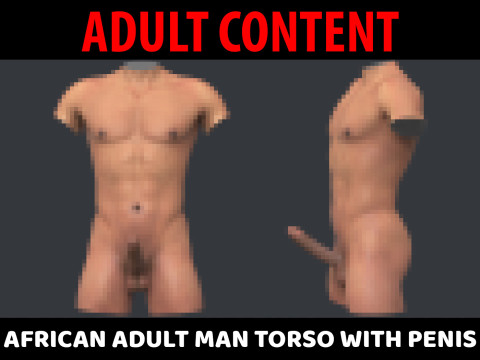 African Adult Man Torso With Erect Penis 3D Модель