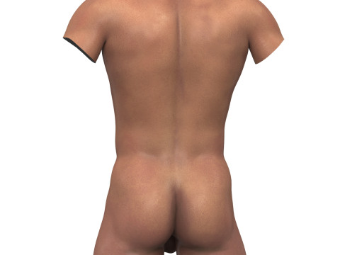 African Adult Man Torso With Erect Penis Modelo 3D