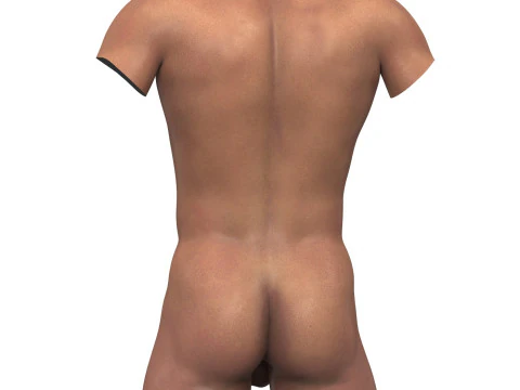 African Adult Man Torso With Erect Penis 3D Model