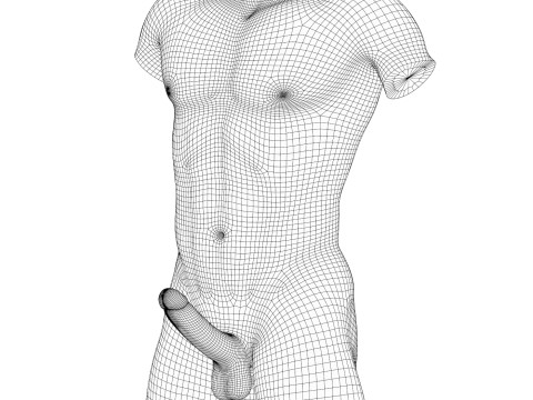 African Adult Man Torso With Erect Penis Modelo 3D