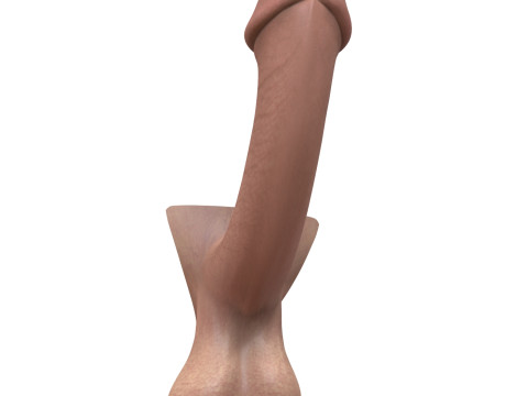Fantasy Male Penis 3D Model