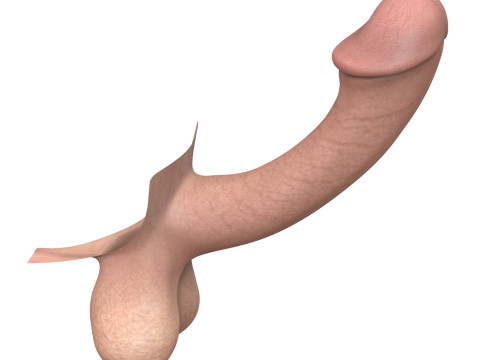 Fantasy Male Penis 3D Model