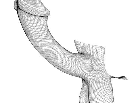 Fantasy Male Penis 3D Model
