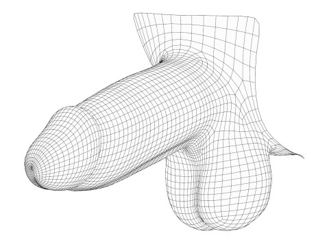 Realistic Small Thick Male Penis Modello 3D
