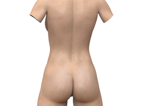 Young Woman Torso with Vagina Model 3D